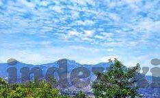 成人国产经典视频在线观看-成人国产经典视频的多元视角，文化、艺术与时代印记
