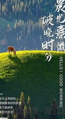 大象传媒2022秘密-2022年大象传媒的隐秘篇章，创新与变革的交响曲