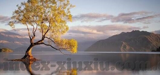 麻豆av1000啪-麻豆AV1000的奇妙旅途，一探成人视频世界的幕后