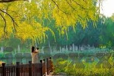 糖心app的下载-糖心app，轻松下载，享受社交新体验