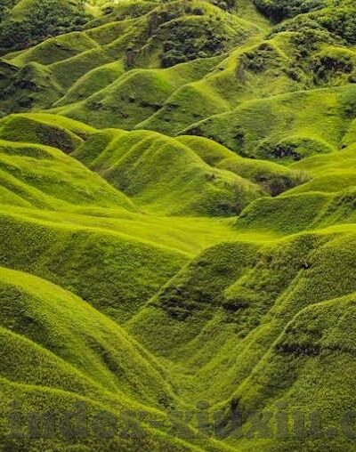 糖心app旧版-触摸经典记忆，重温糖心app旧版的温馨与旧趣