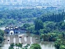 在线播放麻豆传媒视频-慎思数字化浪潮，在线观影的合法性及文化价值探讨